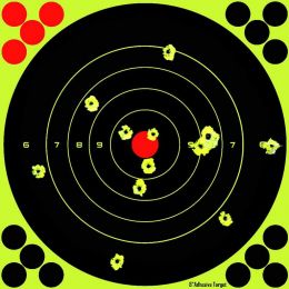 20,3cm Splatter Target